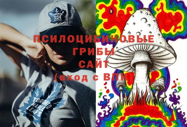 2c-b Верея