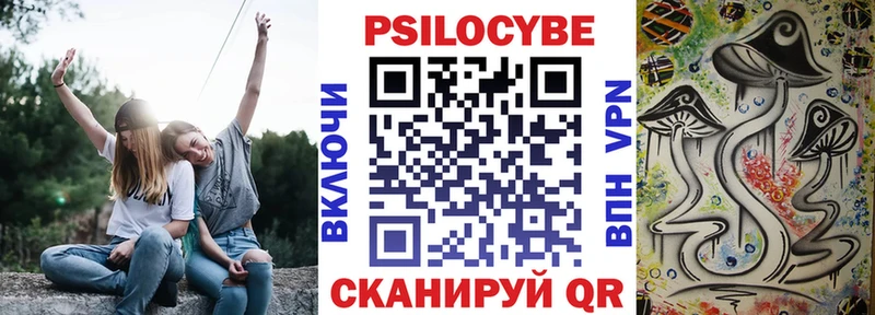 Псилоцибиновые грибы Cubensis  закладка  Данилов 